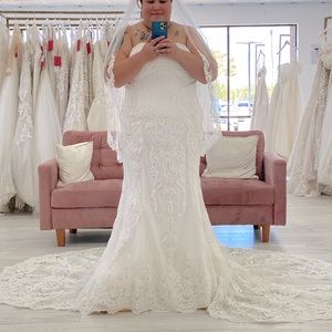 Wedding gown, veil, petticoat, gown bag